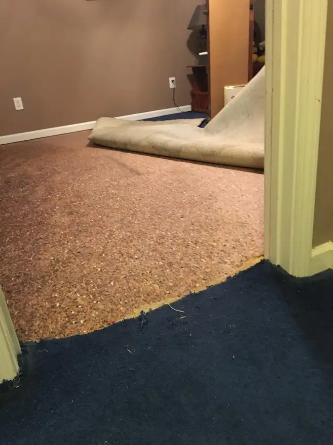 Carpet pad removal revealing water damage during Drying & Dehumidification in Henrietta